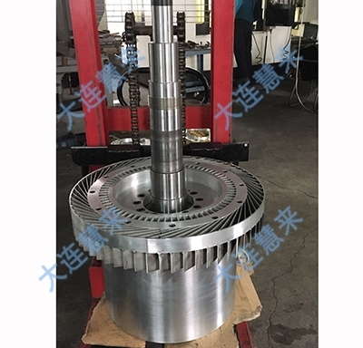 波轉(zhuǎn)子組立Wave rotor assembly